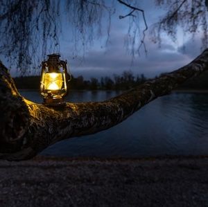 Meet your Posher, Buckley